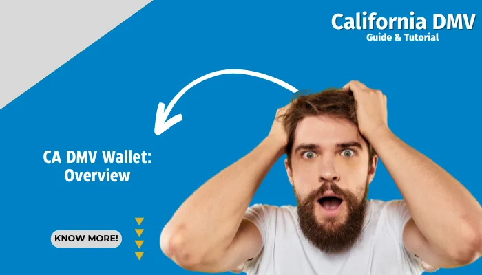 CA DMV Wallet: Overview